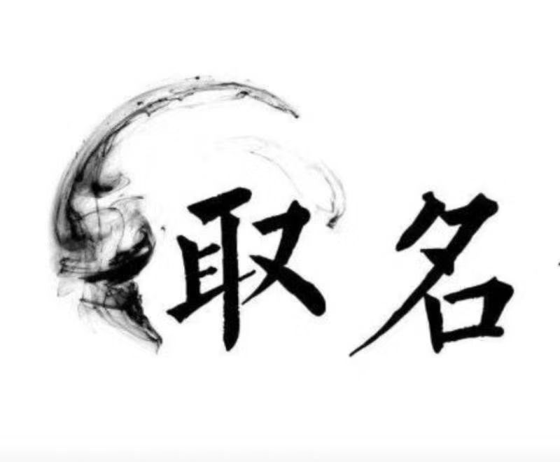 百色宝宝取名 大师一对一人工起名
